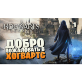 💻 Хогвартс Наследие Делюкс Издание  Steam (TR/UA)