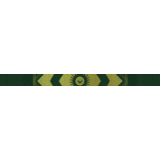 Destiny 2 - Emblem (Образ надежды) PC, PS, Xbox
