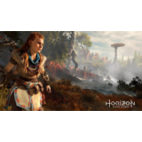 HORIZON 💎 [ONLINE STEAM] ✅ Полный доступ ✅ + 🎁