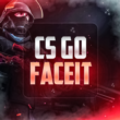 CS GO under FACEIT | 100+ Hours ✅ + Mail