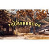 💠 Truberbrook (PS4/PS5/RU) П3 - Активация