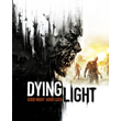 Dying Light Standard Edition (CIS, Belarus)