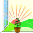 Lemon (virtual plant)