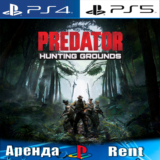 🎮Predator: Hunting Grounds (PS4/PS5/RUS) Аренда 🔰