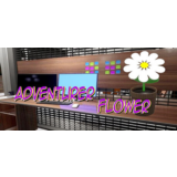 Adventurer Flower STEAM KEY REGION FREE GLOBAL ROW