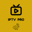 IPTV Pro 4k ,Premium, AllChannels&Movies +VOD (1 day)