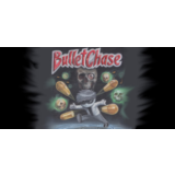 Bullet Chase STEAM KEY REGION FREE GLOBAL ROW