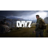 DayZ (PS4/RUS) П3-Активация