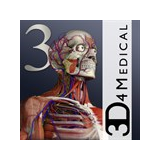 Essential Anatomy 3 ✅ Microsoft Store ПК PC Активация