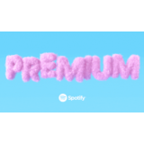 ✅SPOTIFY PREMIUM✅ 3/12 МЕСЯЦЕВ НА ВАШЕМ АККАУНТЕ💳