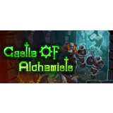Castle Of Alchemists⚡АВТОДОСТАВКА Steam Россия