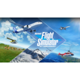 FLIGHT SIMULATOR 💎 [ONLINE STEAM] ✅ Полный доступ ✅+🎁