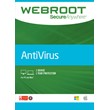 Webroot SecureAnywhere AntiVirus ключ 3 ПК / 180 дней