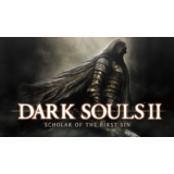 Dark Souls 2 Scholar of the First Sin🌍 Steam🎮Global