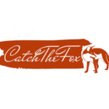 Catch The Fox STEAM KEY REGION FREE GLOBAL ROW