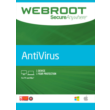 Webroot SecureAnywhere AntiVirus 1 year / 1 pc 🚀🚀🔥🔥