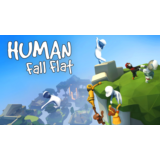 Human: Fall Flat ✅ ключ Global + RU/CIS РФ Россия СНГ