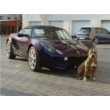 How to prevent theft of your car. Real tips.