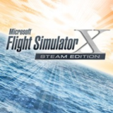 Microsoft Flight Simulator X | Steam Гарантия