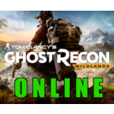Tom Clancys Ghost Recon Wildlands ОНЛАЙН✔️STEAM Аккаунт