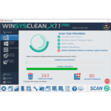 WinSysClean X11 PRO КЛЮЧ