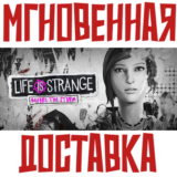 ✅Life is Strange: Before the Storm⚡Steam\РФ+Мир\Key +🎁