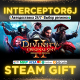 Divinity: Original Sin 2 Все регионы⚡STEAM • АВТО 24/7