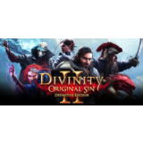 Divinity: Original Sin 2 * STEAM RU ⚡ АВТО 💳0%