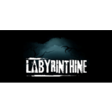 Labyrinthine 🕷 Смена данных 👑 Полный доступ