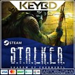 S.T.A.L.K.E.R.: Shadow of Chernobyl Steam-RU🚀AUTO 💳0%