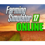 Farming Simulator 17 - ОНЛАЙН✔️STEAM Аккаунт