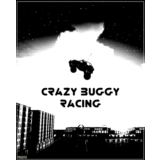 Crazy Buggy Racing (STEAM KEY / REGION FREE)