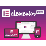 Лицензия Elementor Pro со всеми обновлениями на 1 год