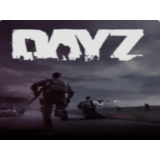 💚 DayZ  🎁 STEAM/СТИМ GIFT 💚 ТУРЦИЯ | ПК
