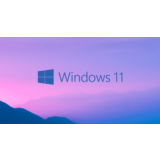 Windows 11 Home🔑 Warranty/Microsoft Partner✅