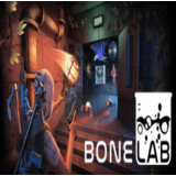 ⭐️ BONELAB Steam Gift ✅ АВТОВЫДАЧА 🚛 ВСЕ РЕГИОНЫ 🌏