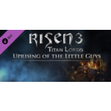 Risen 3: Uprising of the Little Guys DLC * STEAM RU ⚡