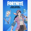 🔹FORTNITE SET OF STYLISH HACKING+ACTIVATION⚡EPIC PC