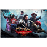 💠 Divinity: Original Sin 2 (PS4/PS5/RU) П3 - Активация