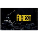 💠 Forest (PS4/PS5/EN) П3 - Активация