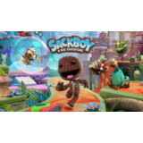 🍓 Sackboy: A Big Adventure (PS4/PS5/RU) П3 - Активация