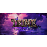 Trine Enchanted Edition 🧙 Смена данных👑 Полный доступ