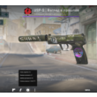 USP-S l Flashback (Check description)