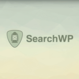 SearchWP [4.3.9] - Русификация плагина 💜🔥