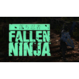 🔥 🔥 Fallen Ninja | Steam РУ+UA+KZ+СНГ🔥