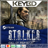S.T.A.L.K.E.R.: Call of Pripyat · Steam Gift 🚀АВТО💳0%