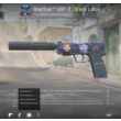StatTrak USP-S l Black Lotus (Check description)