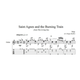 Saint Agnes and the Burning Train (Стинг) для гитары