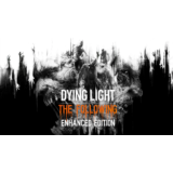 DYING LIGHT 🔥 ENH. EDITION 🎮 Новый аккаунт + Почта ✅
