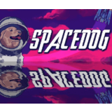 ✅SpaceDog⚡Steam\РФ + Весь Мир\Key⭐